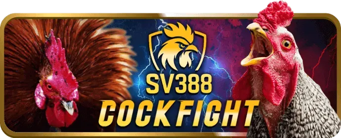 Vấn đề về khuyến mãi và ưu đãi S8Club
